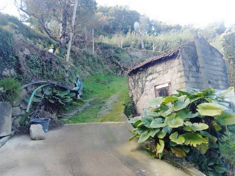 Terreno Rústico em Cinfães - Viseu Venda de Terreno em Cinfães - Viseu