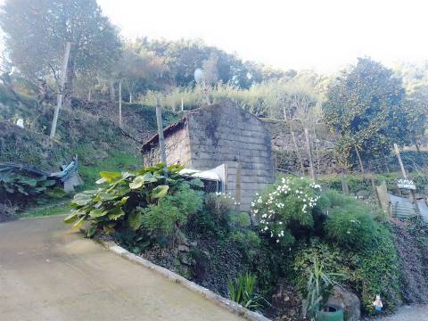 Terreno Rústico em Cinfães - Viseu Venda de Terreno em Cinfães - Viseu