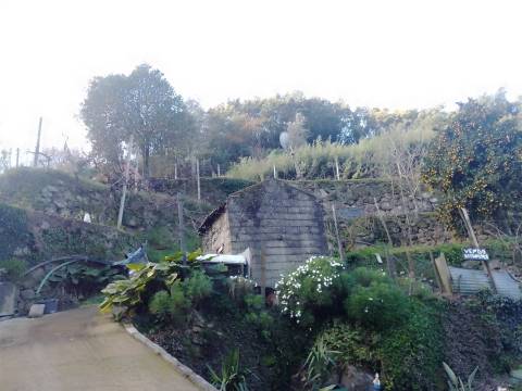Terreno Rústico em Cinfães - Viseu Venda de Terreno em Cinfães - Viseu