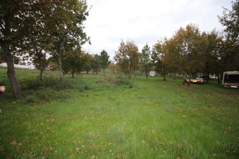 Terreno para Venda em Aldeia de Rãs, Sátão, Viseu -  Potencial Único e Localização Privilegiada!