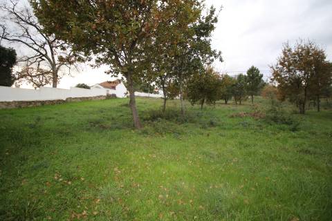 Terreno para Venda em Aldeia de Rãs, Sátão, Viseu -  Potencial Único e Localização Privilegiada!