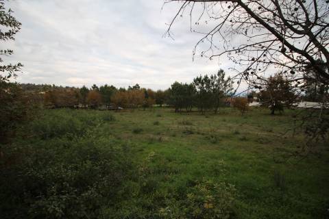 Terreno para Venda em Aldeia de Rãs, Sátão, Viseu -  Potencial Único e Localização Privilegiada!