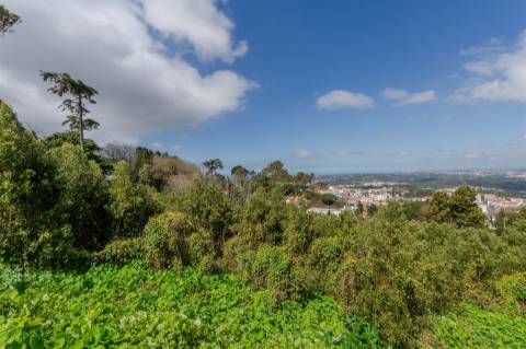 Lote de Terreno, com Projeto Aprovado, em Sintra