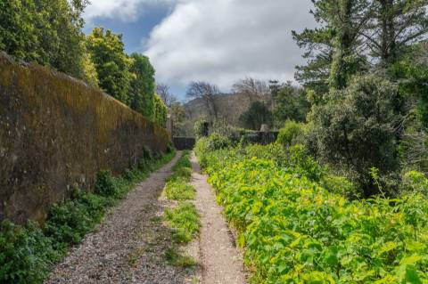 Lote de Terreno, com Projeto Aprovado, em Sintra