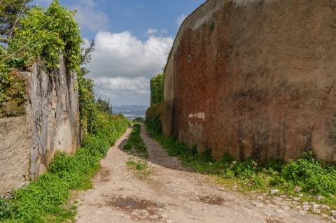 Lote de Terreno, com Projeto Aprovado, em Sintra
