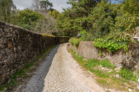 Lote de Terreno, com Projeto Aprovado, em Sintra