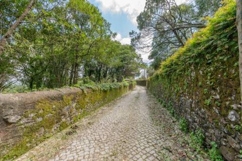 Lote de Terreno, com Projeto Aprovado, em Sintra