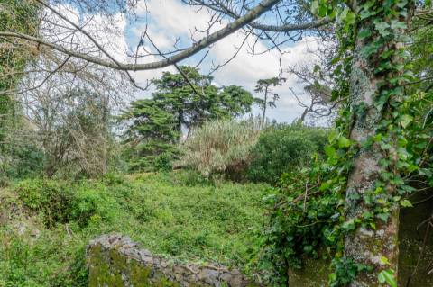 Lote de Terreno, com Projeto Aprovado, em Sintra