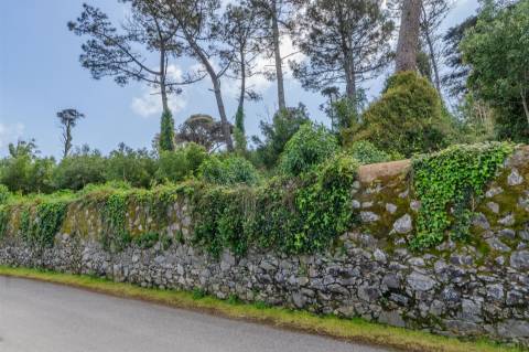 Lote de Terreno, com Projeto Aprovado, em Sintra