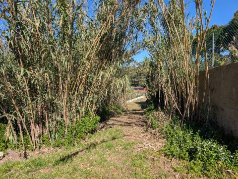 Terreno urbano em Sintra