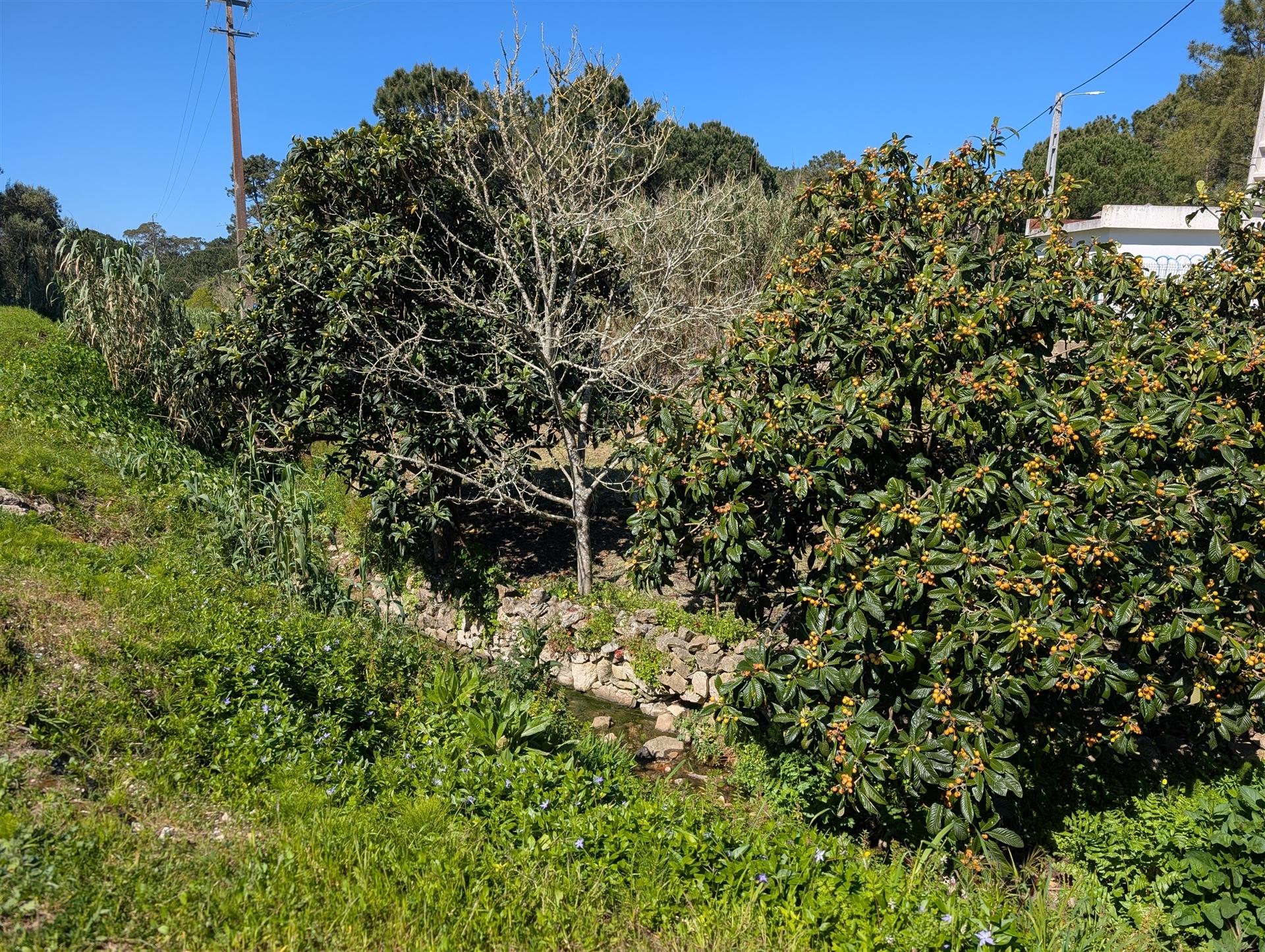 Terreno urbano em Sintra