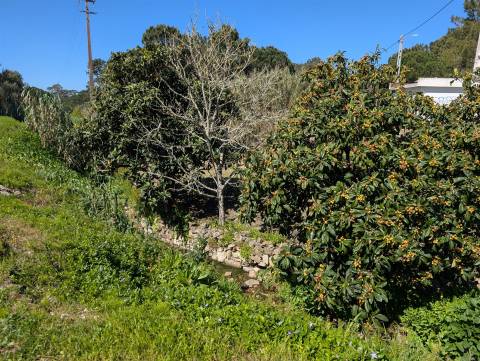 Terreno urbano em Sintra