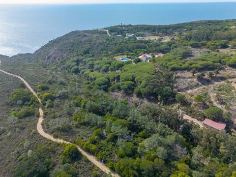 Terreno Rústico  Venda em Colares,Sintra