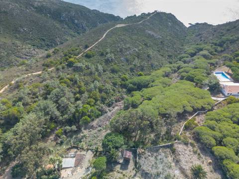 Terreno Rústico  Venda em Colares,Sintra