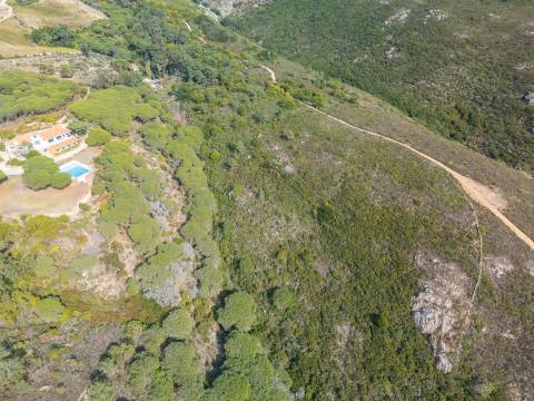Terreno Rústico  Venda em Colares,Sintra