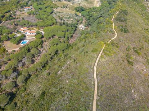 Terreno Rústico  Venda em Colares,Sintra