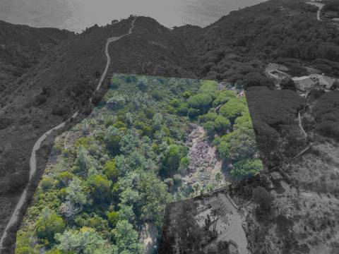 Terreno Rústico  Venda em Colares,Sintra