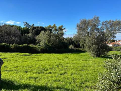 Andar de moradia T2 com amplo espaço exterior no Murtal — Parede