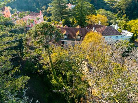 Quinta histórica no Centro de Sintra