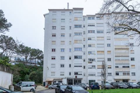 T1 de Luxo para Arrendamento no Monte Estoril