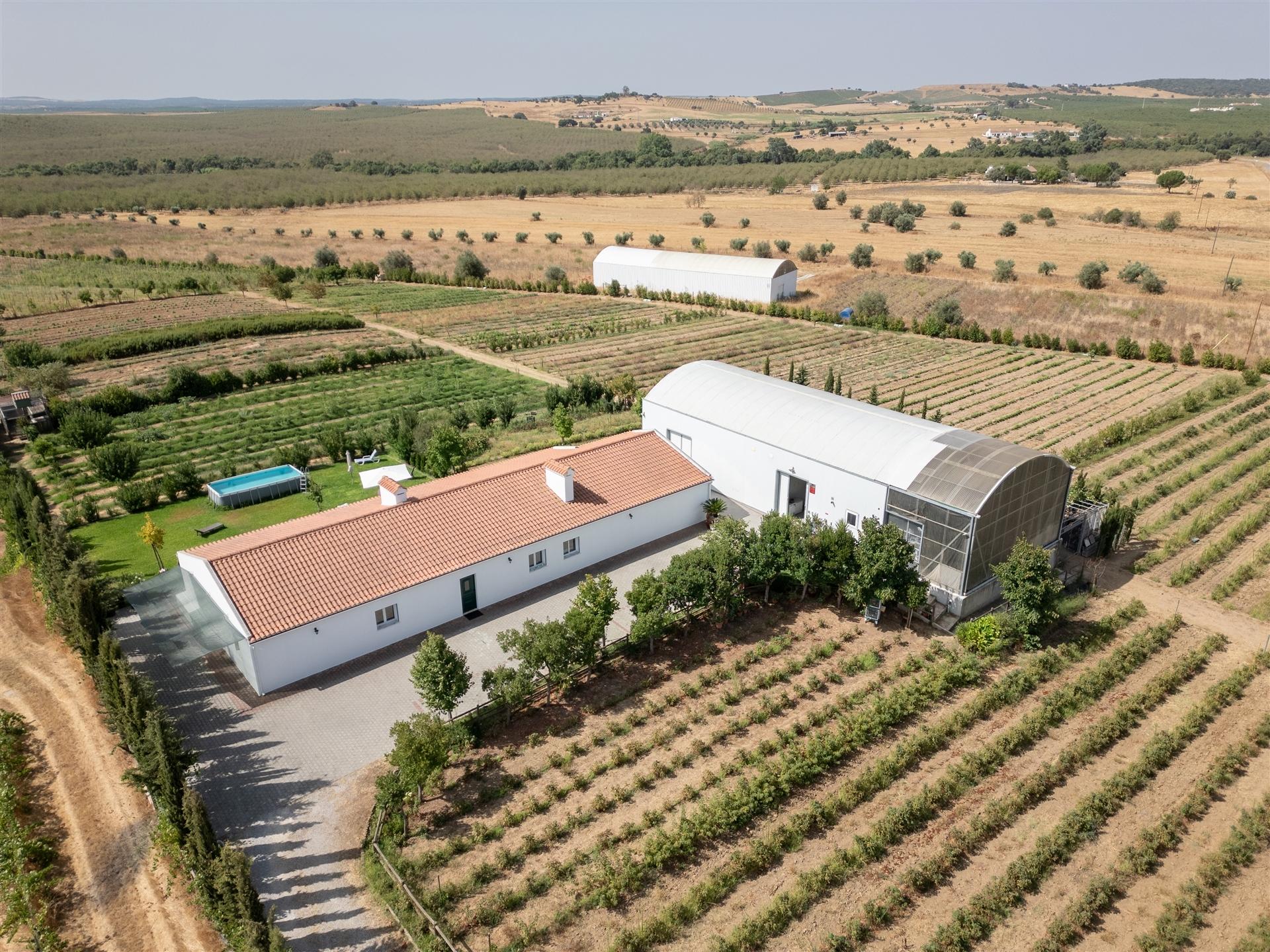 Quinta Biológica - Monte de Palma em Sao Manços com negócio.