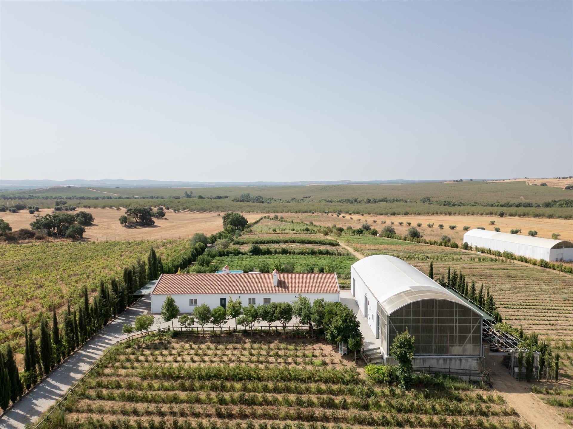 Quinta Biológica - Monte de Palma em Sao Manços com negócio.