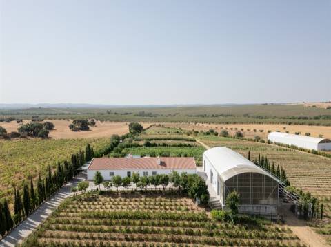 Quinta Biológica - Monte de Palma em Sao Manços com negócio.