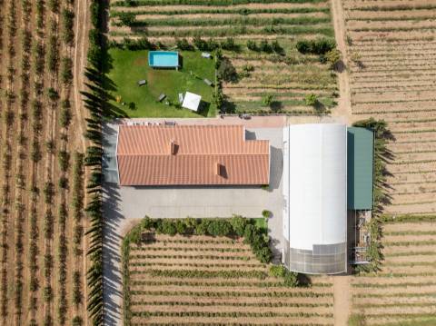 Quinta Biológica - Monte de Palma em Sao Manços com negócio.
