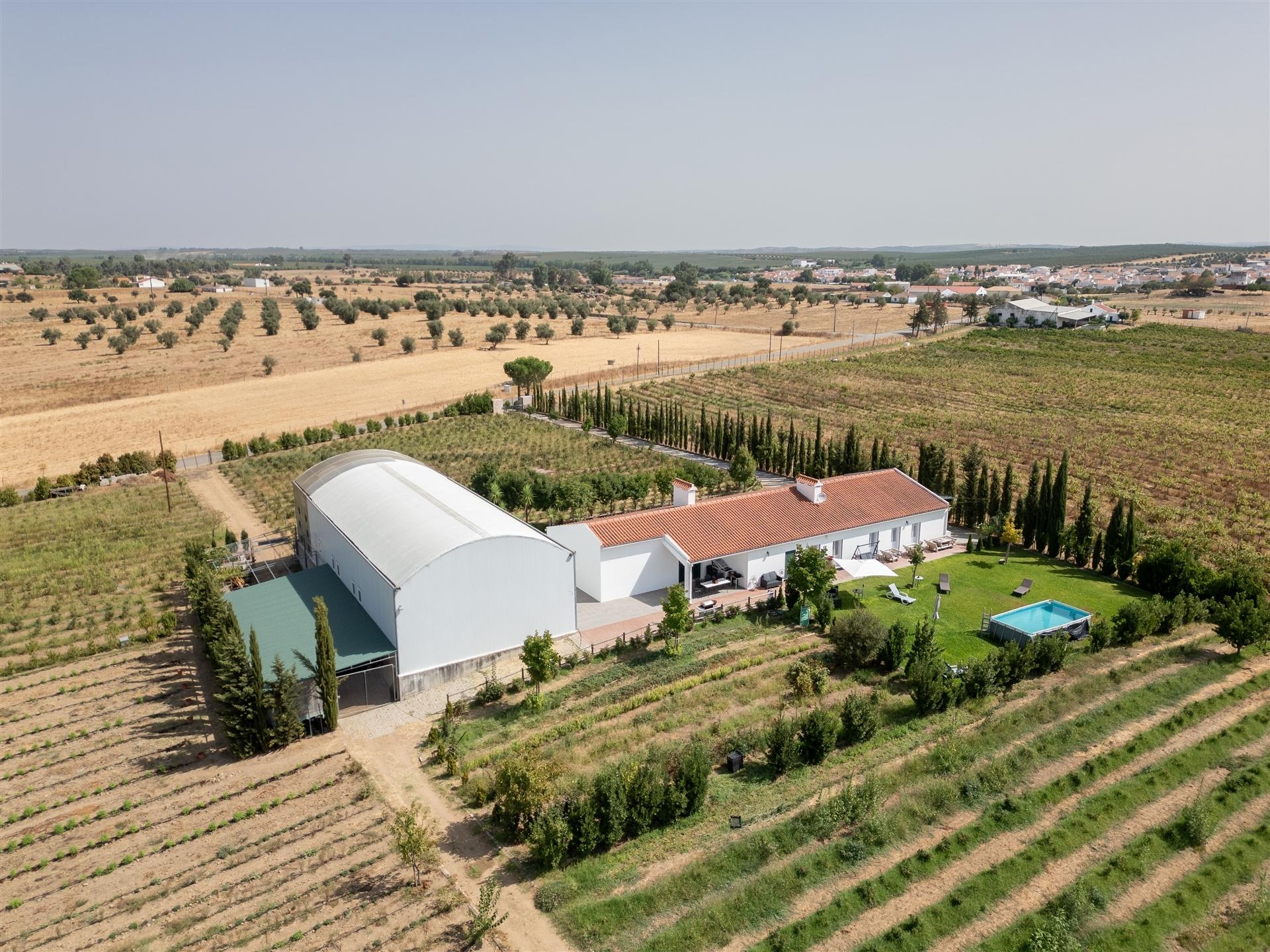Quinta Biológica - Monte de Palma em Sao Manços com negócio.