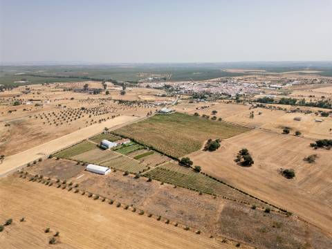 Quinta Biológica - Monte de Palma em Sao Manços com negócio.
