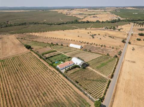 Quinta Biológica - Monte de Palma em Sao Manços com negócio.
