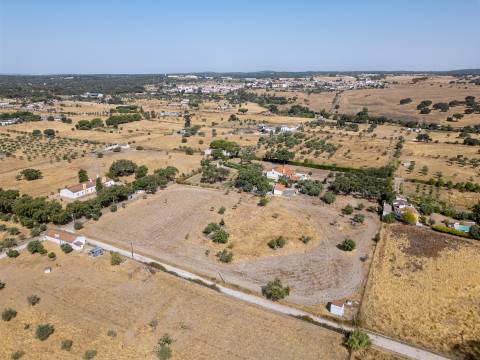 Quinta dos Sobreiros Velhos  - Azaruja - São Bento do Mato