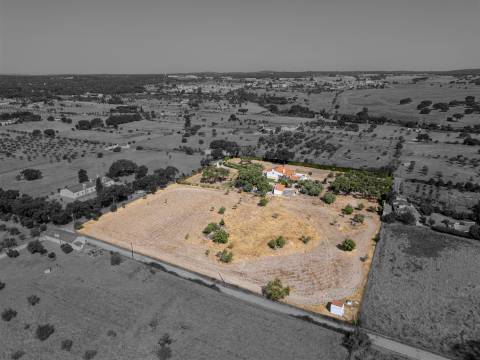 Quinta dos Sobreiros Velhos  - Azaruja - São Bento do Mato