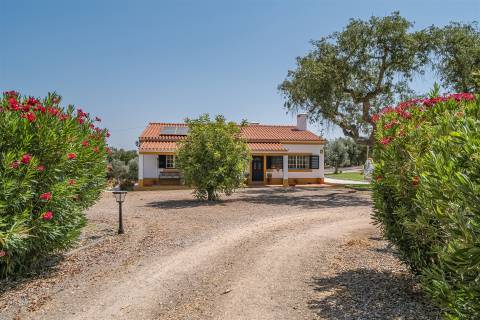 Quinta dos Sobreiros Velhos  - Azaruja - São Bento do Mato