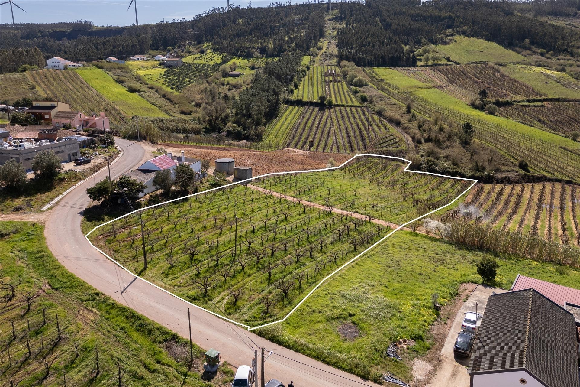 Terreno 7440m2  potencialmente Urbanizável Distrito de Lisboa