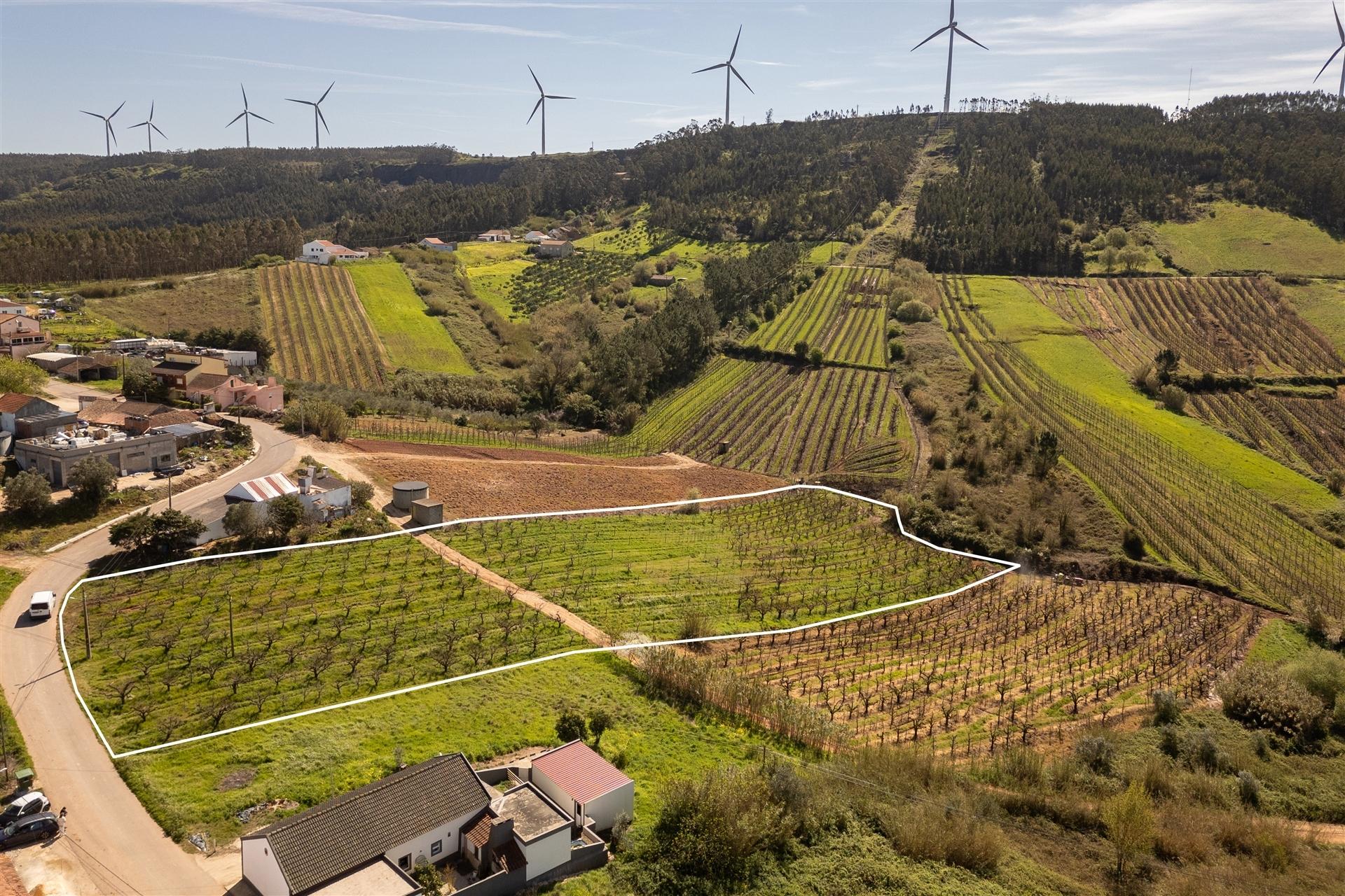Terreno 7440m2  potencialmente Urbanizável Distrito de Lisboa