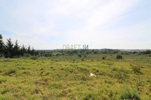 Terrenos ( 2 lotes ) para construção residencial com 623,41 m² em Tires, São Domingos de Rana, Casca