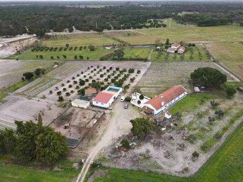 Quinta T4+2 no Alentejo