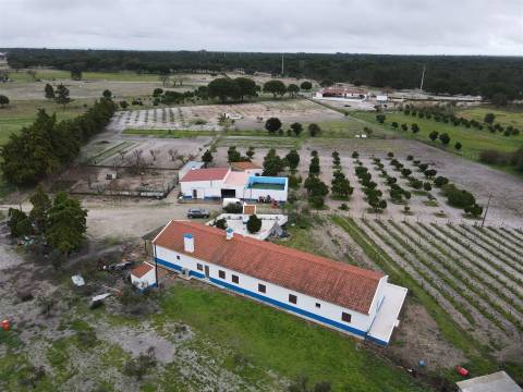 Quinta T4+2 no Alentejo