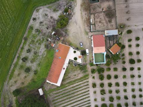 Quinta T4+2 no Alentejo