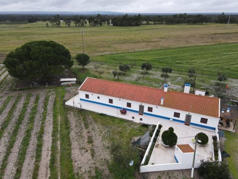 Quinta T4+2 no Alentejo