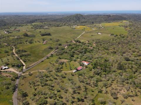 Terreno rústico no Litoral Alentejano