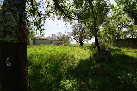 Terreno rústico no Litoral Alentejano