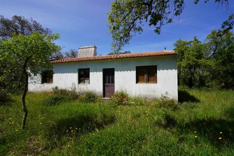 Terreno rústico no Litoral Alentejano