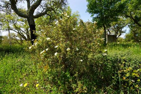 Terreno rústico no Litoral Alentejano