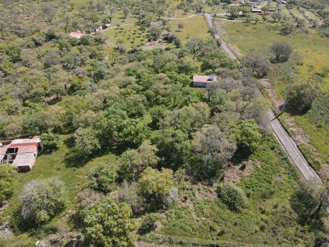 Terreno rústico no Litoral Alentejano