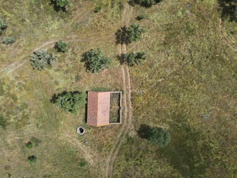 Terreno Rústico  Venda em Grândola e Santa Margarida da Serra,Grândola