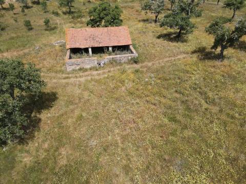 Terreno Rústico  Venda em Grândola e Santa Margarida da Serra,Grândola