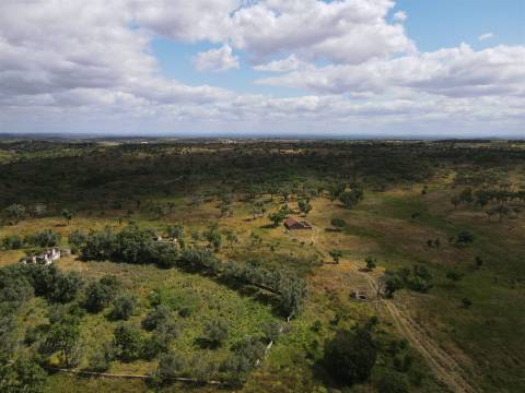 Terreno Rústico  Venda em Grândola e Santa Margarida da Serra,Grândola