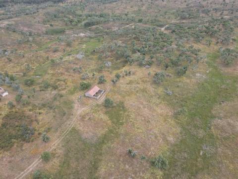 Terreno Rústico  Venda em Grândola e Santa Margarida da Serra,Grândola
